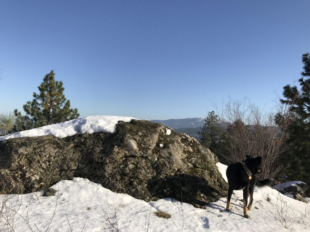 Beacon Hills – NaughtyHiker