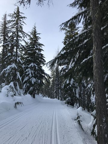 Valley View trail