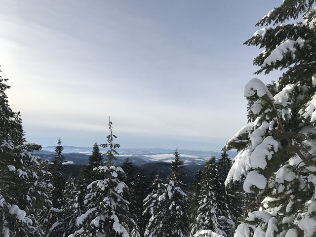 Halfway down the trail, the views are good from Valley View trail