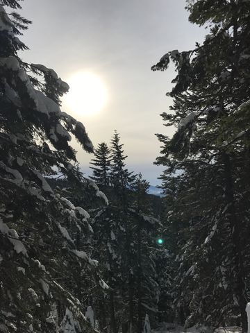 Filtered views on Larch trail