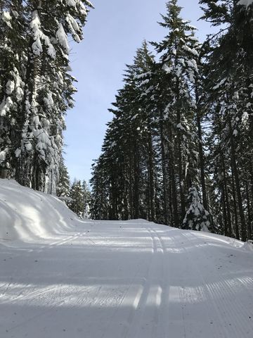 Quartz Mountain trail