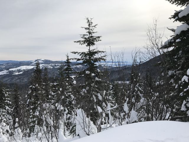 View from back of Quartz Mountain