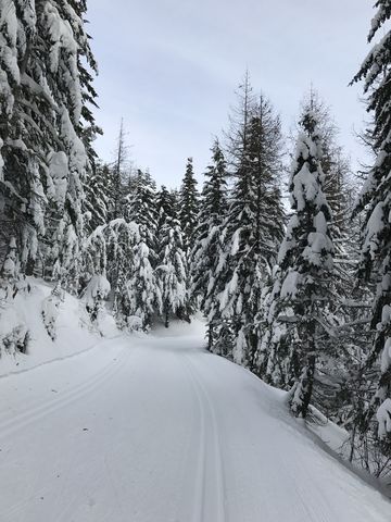 Twin Lakes trail