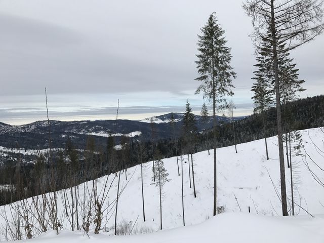 Clearcuts along Upper Outer Limits open up spectucular views