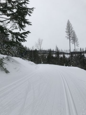 Lower Outer Limits trail