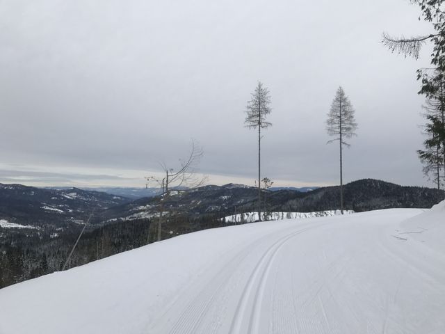 View from Lower Outer Limits trail