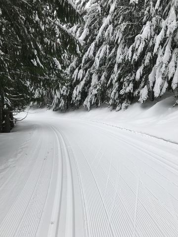 Upper Tripps Loop trail