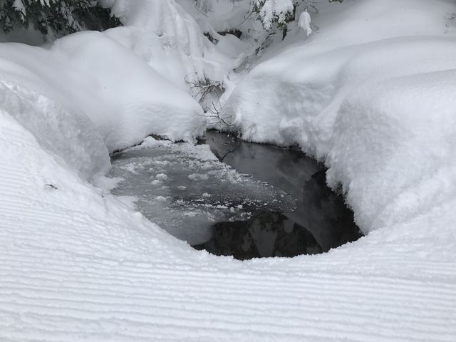 Semi-frozen puddle along Upper Tripps Loop trail