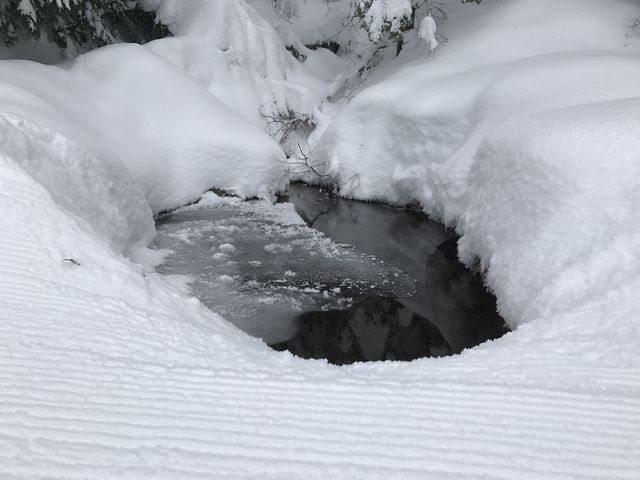 Semi-frozen puddle along Upper Tripps Loop trail