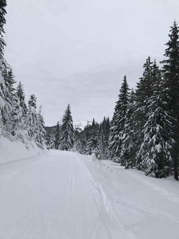 Linder Ridge trail