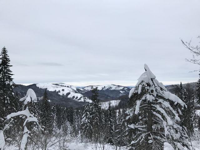 View from Linder Ridge trail