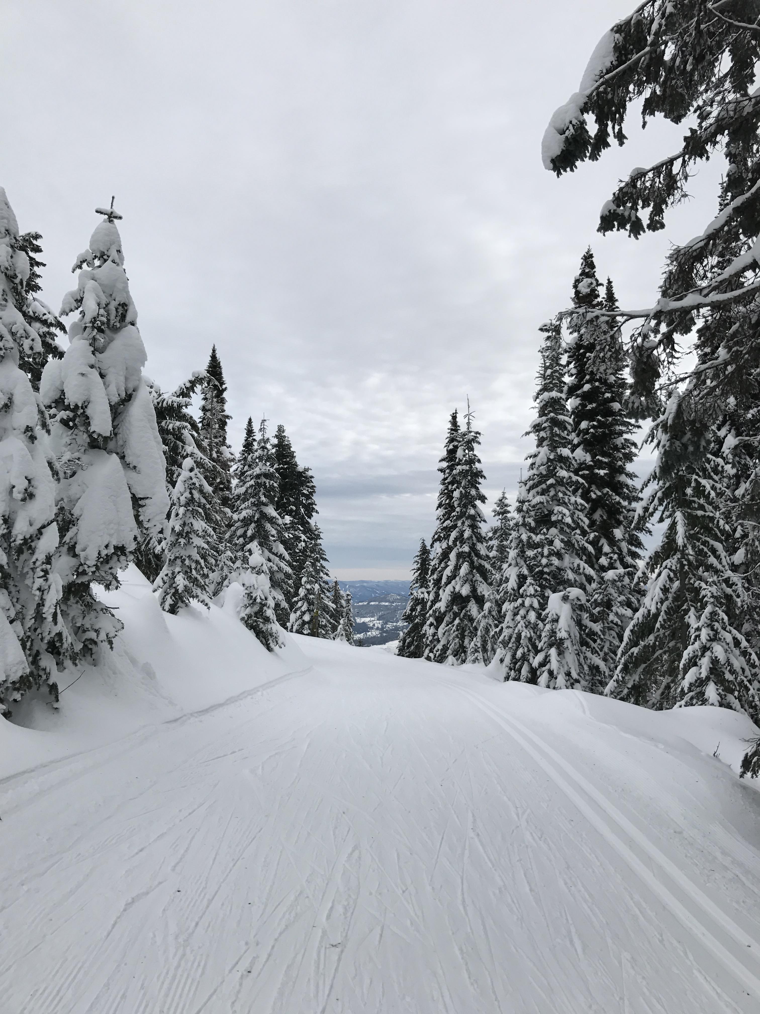 Shadow Mountain XC Ski Loop NaughtyHiker