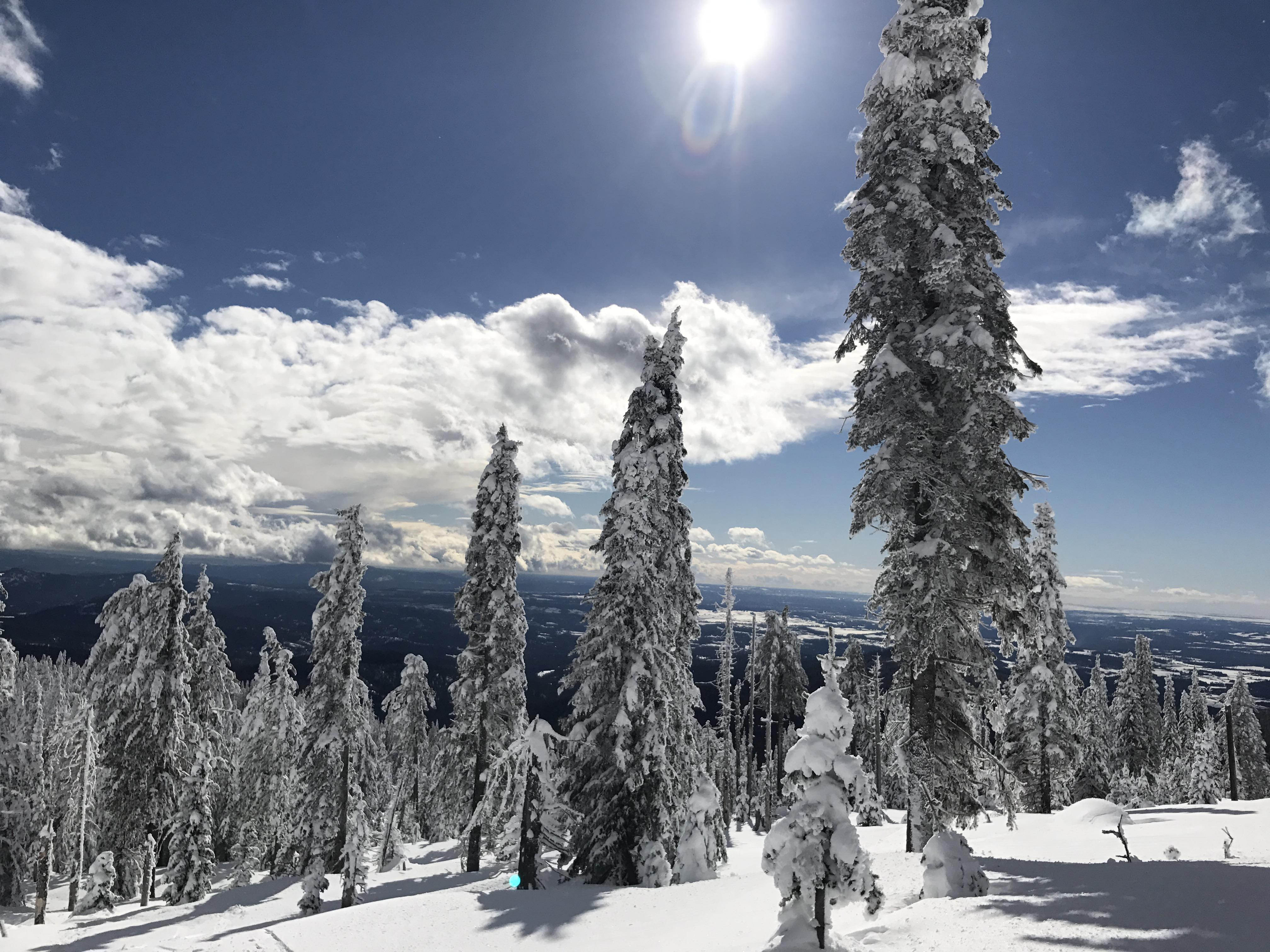 Mount Spokane Loop NaughtyHiker