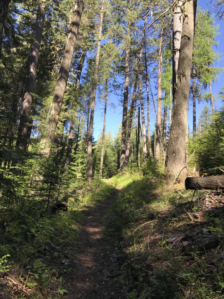 Bead Lake NaughtyHiker