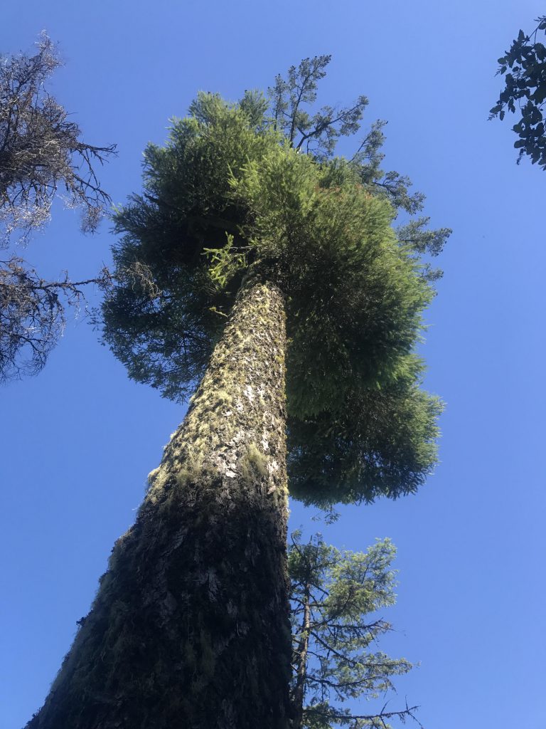 Evans Landing NaughtyHiker