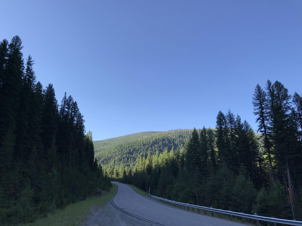 Blossom Lakes Loop NaughtyHiker