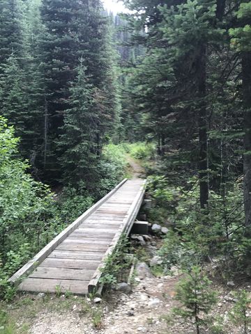 Bridge and boardwalk across Myrtle Creek