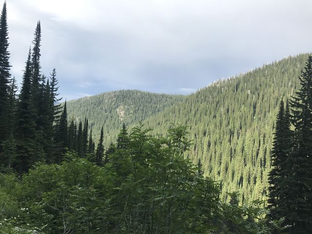 View back into the Myrtle Creek valley