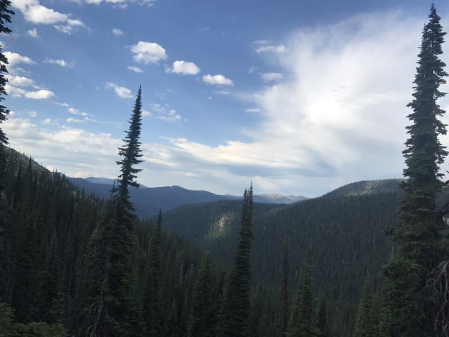 View from ridge above Myrtle Creek