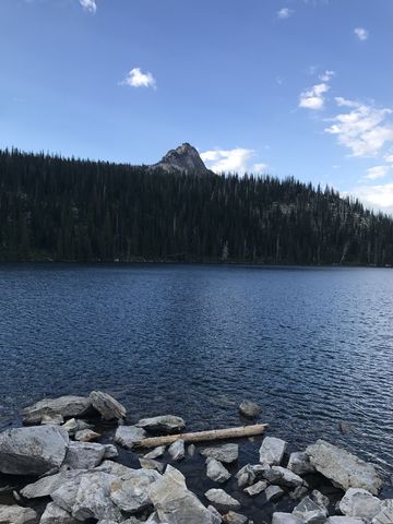 Harrison Peak rising up to the south behind a forested ridge