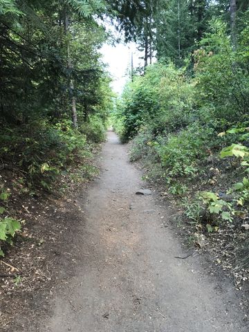 For the most part, the trail is a wide singletrack occupying the old pipeline bed