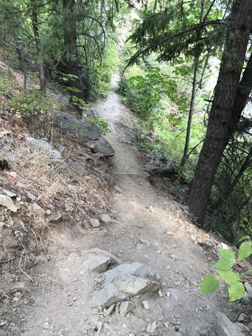 Past the tunnel the trail deteriorates to a narrow singletrack….