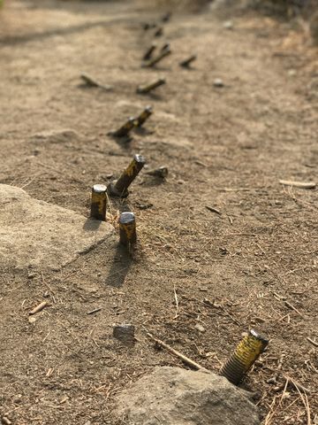 Pipline spikes poking up through the trailbed