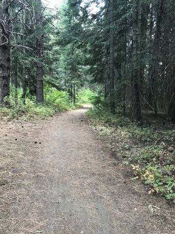 Most of the trail is a wide single-track