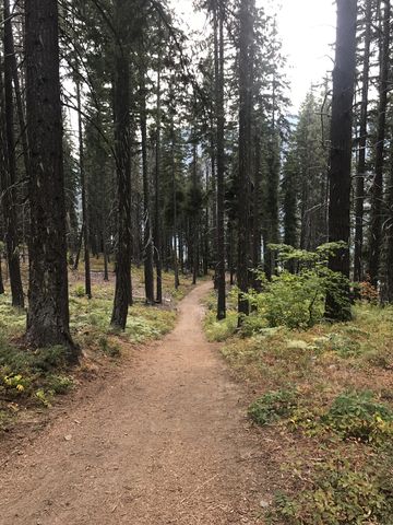 The northern section of the trail winds through the woods