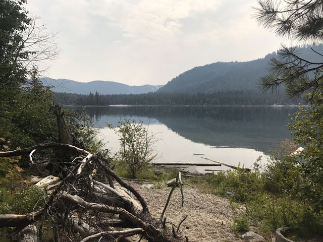 A sandy beach on Lake Wenatchee