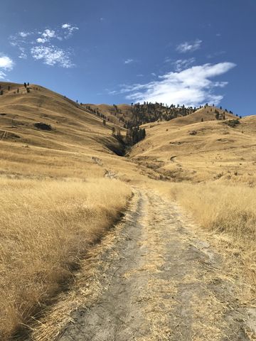 The trail starts out on an old double-track