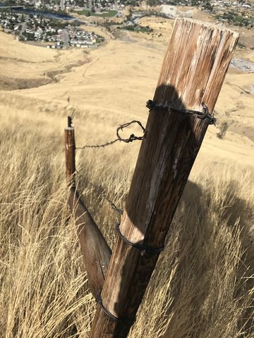 Barbed-wire fence along the trail