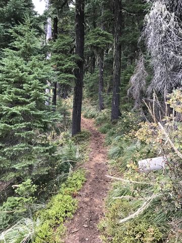 Much of the trail is a well-maintained packed-dirt single-track