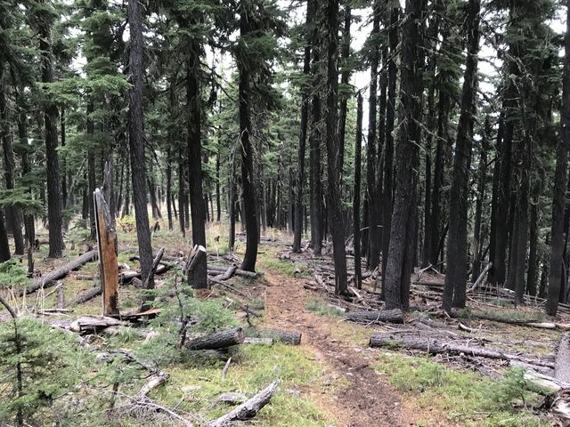 The saddle past Little Sentinel Peak