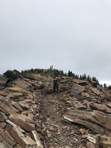 Sentinel Peak is mostly talus