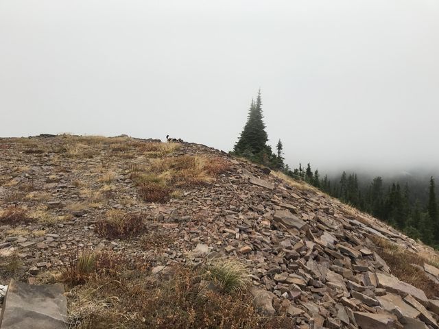 Pond Peak was largely shrouded in clouds