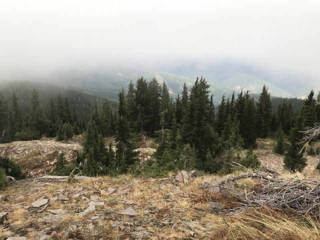 View east from Pond Peak, but we couldnt spot the pond below the peak