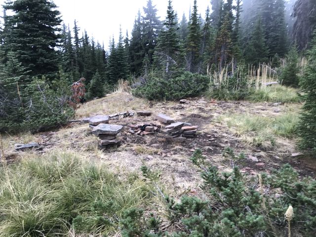 A pretty campsite on Pond Peak