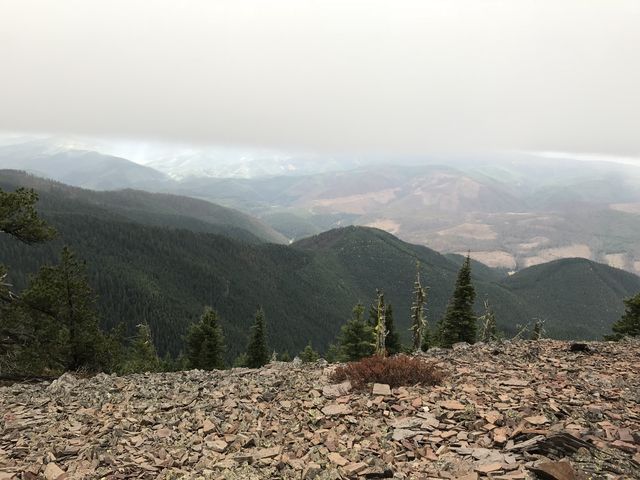 View from Pond Peak