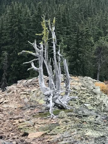 A hard living straddling the ridge and anchor in nothing but talus