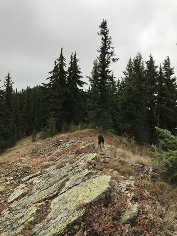 Knife-edge ridge along the southern part of Downey ridge on approach to Guard Peak