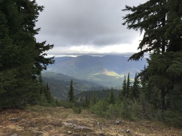 View from Downey ridge