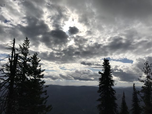 Cloudy sky, taken from forest road