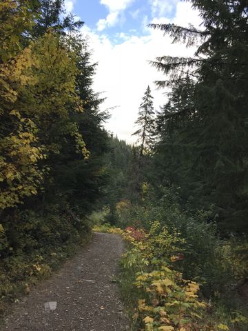 Trail to Fern Falls