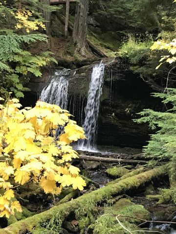 Fern Falls framed by fall foliage