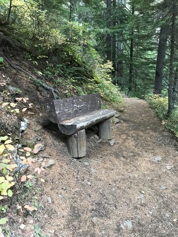 A pretty bench along the trail