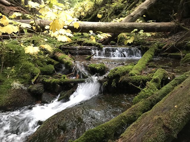 Rapids above Shadow Falls