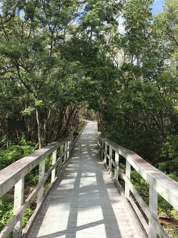 Most of the trail is boardwalk