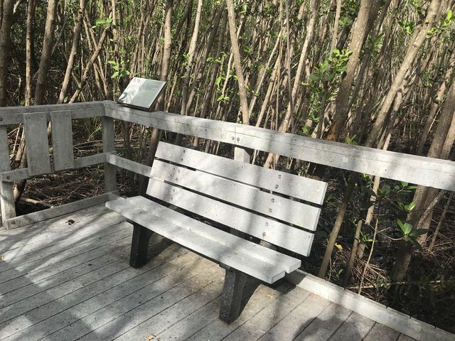 There are several benches sprinkled throughout
