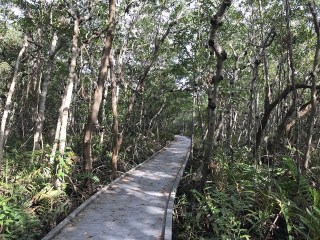 The boardwalk is well-maintained